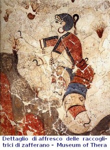 Dettagli di affresco delle raccoglitrici di zafferano_Museum of Prehistoric Thera