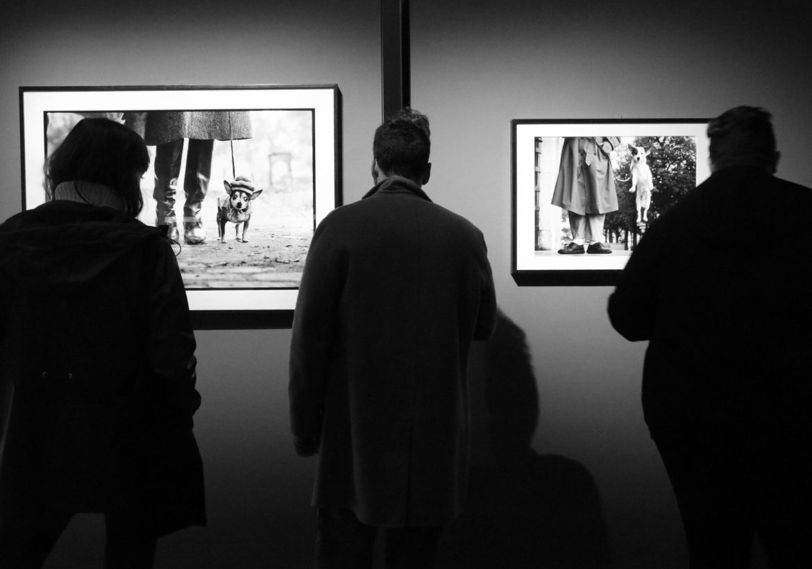 eliott erwitt family mudec