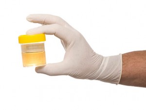 pee-potenza-scienziati-bristolian-fai-breakthrough-in-usando-urina-come-fonte-di-alimentazione-vitali